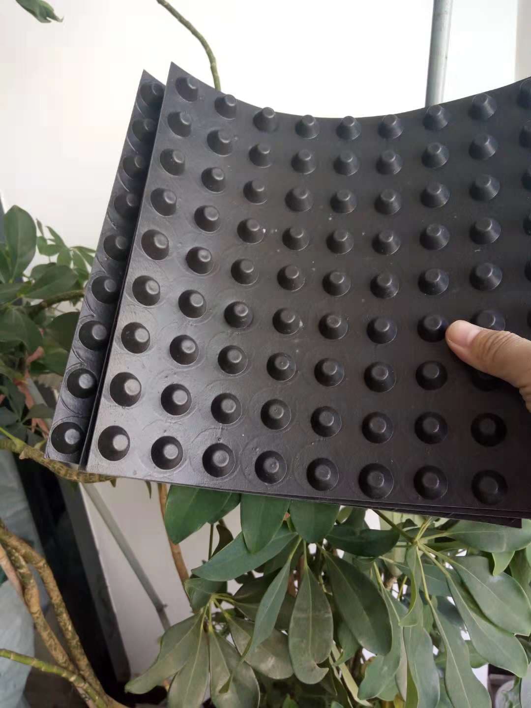 1542073531115596.jpg 1538623900605285.jpg